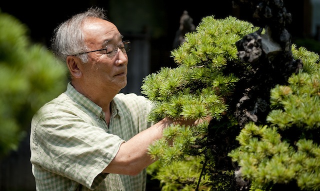 Tomio Yamada Seikouen